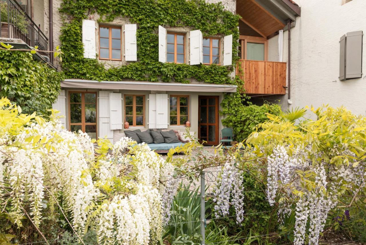 Wonderlandscape Guest House Le Grand Saconnex Eksteriør bilde
